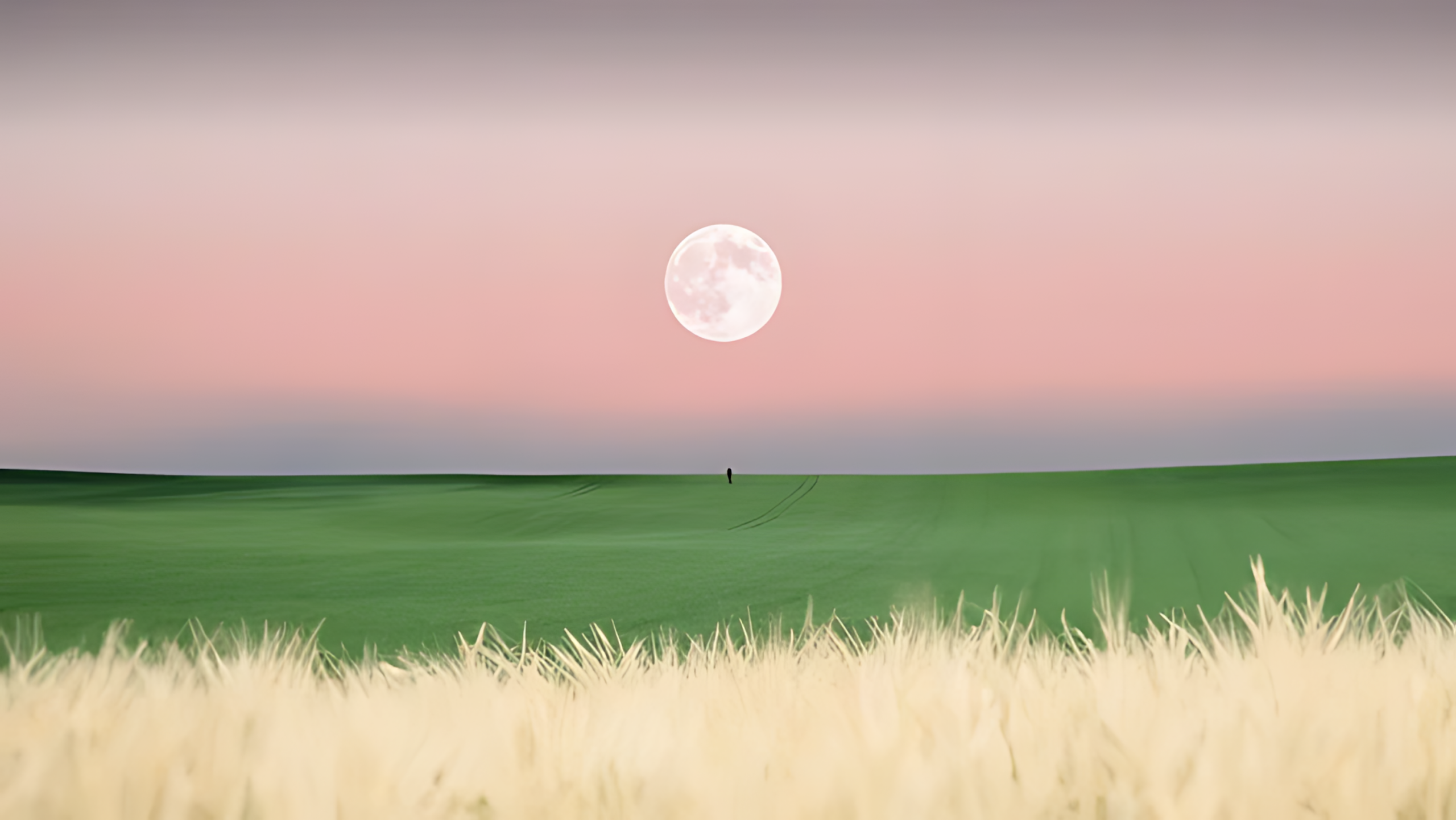 哈喽 欢迎使用解忧美化杂货铺